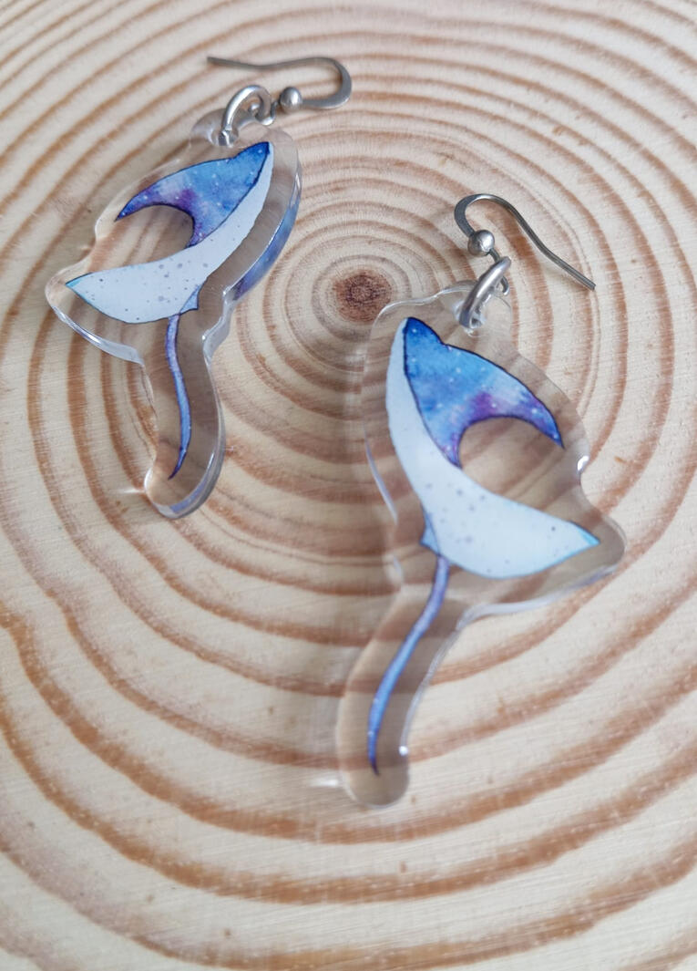 Manta